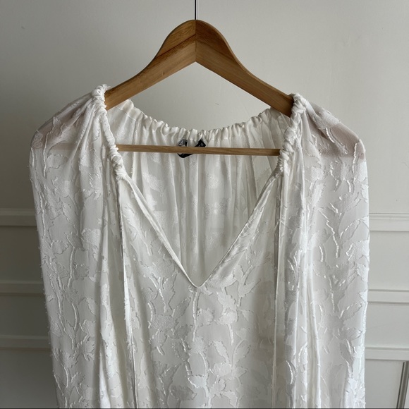 Sheer Blouse with Floral Applique - Picture 14 of 16